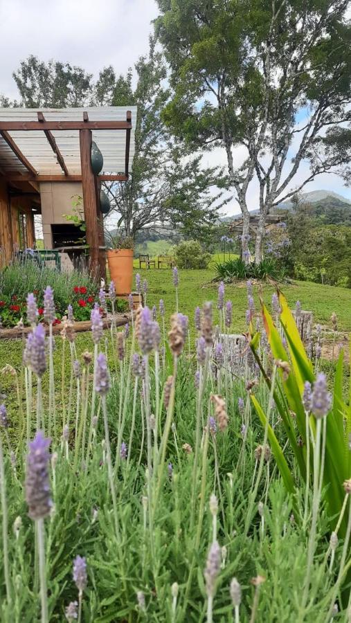 Sitio Recanto Da Guarda - Cabana Araucaria Bom Retiro  Exterior foto