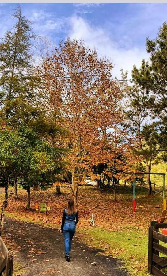 Sitio Recanto Da Guarda - Cabana Araucaria Bom Retiro  Exterior foto